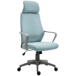 Vinsetto Scaun de Birou Ajustabil cu Suporturi pentru Brațe Suport pentru Cap și Funcție de Balansare Greutate Suportată 120 kg 64x55x116-126 cm Albastru