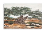 Mauro Ferretti Pictura Pe Panza, Maslin, -B- Cm 120X3,8X78