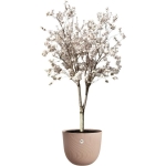 ELHO Pot de fleurs Sereh Rond 47 - Marron - Ø 47 x H 40 cm - 100% recyclé