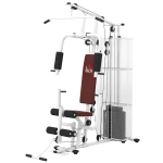 HOMCOM Stazione Fitness Multifunzione per Casa e Palestra con 4 Imbottiture, in Acciaio e PU, 150x110x210 cm, Bianco