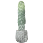 HOMCOM Cactus artificial 66 cm, plantă artificială decorativă cu ghiveci pentru decor interior, verde