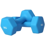 SPORTNOW Set 2 Manubri Esagonali 2x6kg in Metallo e Plastica con Impugnatura Antiscivolo, 22x10x10 cm, Azzurro