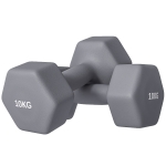 SPORTNOW Set 2 Manubri Esagonali da 2x10 kg in Metallo e Plastica con Impugnatura Antiscivolo, 26x12x12 cm, Grigio