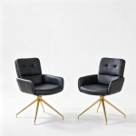 Chaise pivotante de salle, manger style luxe léger européen, lot de 2, patins antidérapants, 55x50x85 cm, Noir+Or