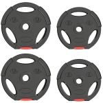 SPORTNOW Juego de Discos Pesas de 4 Piezas 2x5 kg 2x7,5 kg con Orificios de 2,5 cm para Entrenamiento Fitness en Hogar Negro