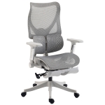 HOMCOM Ergonomic Office Chair with Lumbar Support, Mesh Reclining Desk Chair with Footrest, Adjustable High Back, Grey