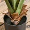 Palmier Artificiel 90 Cm - 24 Feuilles Éventail - Pot Floqué - Décoration Intérieure