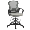 Vinsetto Ergonomischer Bürostuhl, Bürostuhl mit Fußstütze und Armlehnen, Mesh, 59 x 65 x 123 cm, Grau