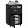 HOMCOM Filing Cabinet, Mobile File Cabinet with 2 Drawers, Office Home Organiser on Wheels for A4, Letter-Size File Folders, Mobile Printer with Open Shelf, Black
