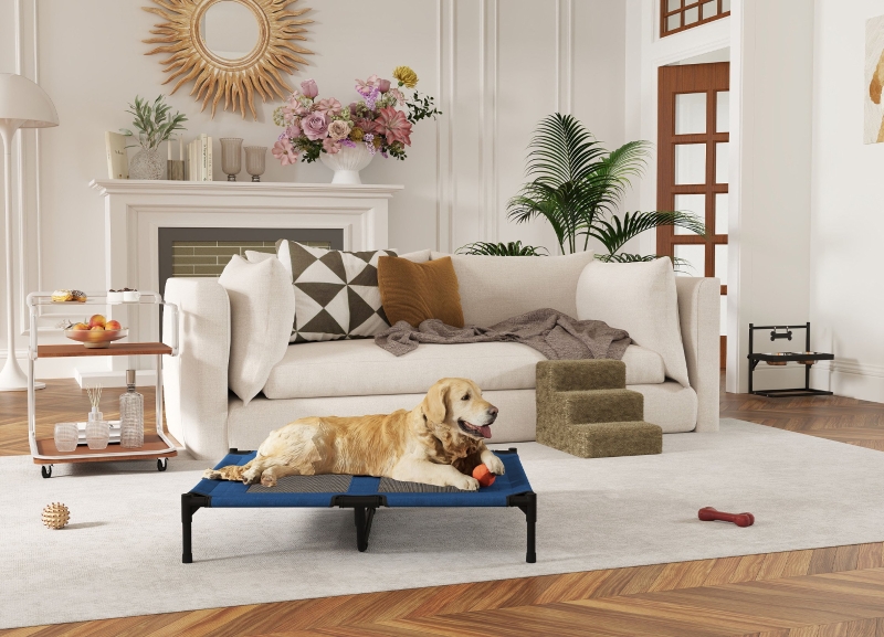 Pet Indoor Furniture