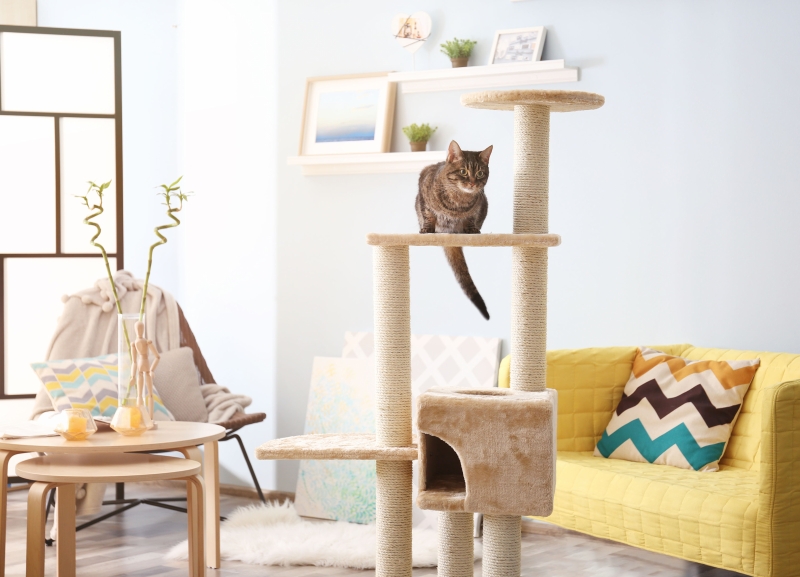 Kratzbaum mit kuscheliger Katzenhöhle