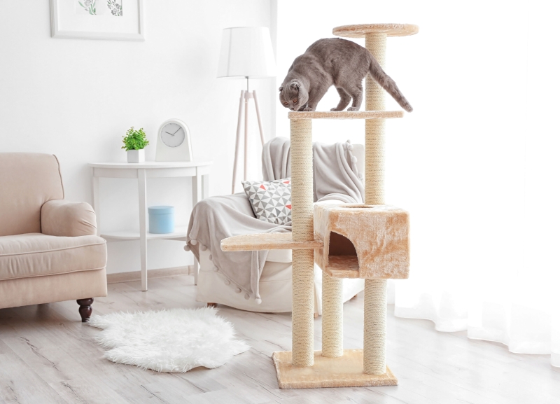 Kuschelplatz & Krallenpflege