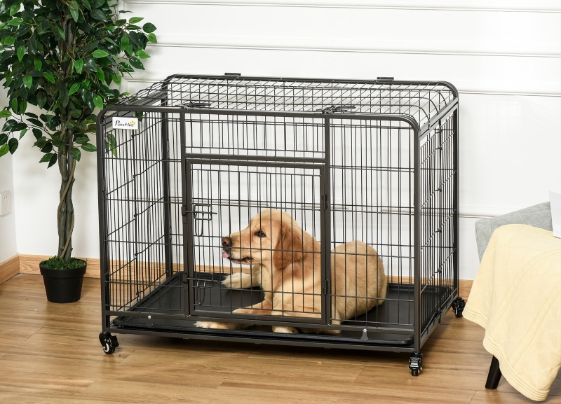 Transport sigur si comod pentru patrupedul tau