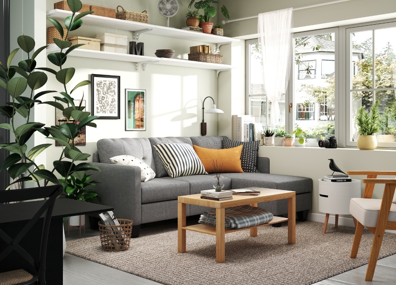 Tradiție și Vitalitate