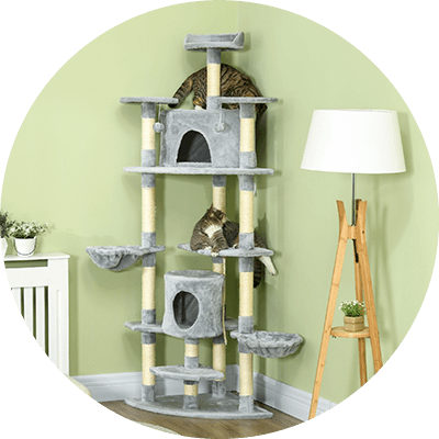 Animais de estimação