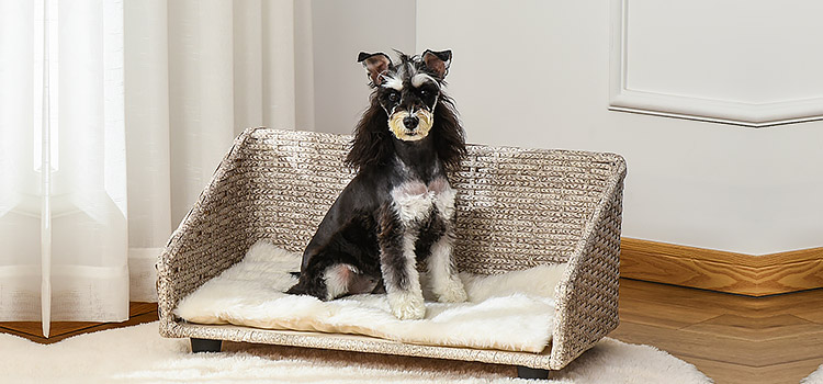 Canapea exclusivă pentru caini