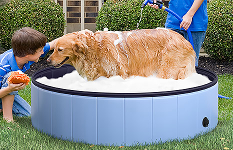 Piscina pentru animale de companie