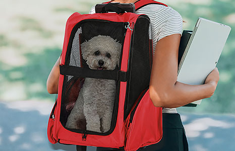 Trasportini per animali