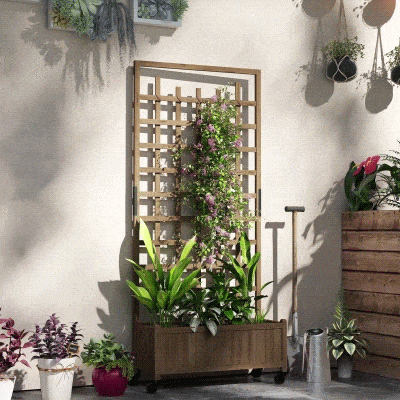 Garden Bed 82.5L x 35W x 186H Brown
