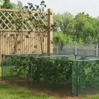 Crop Cage 125W x 248D x 62.5H cm Green