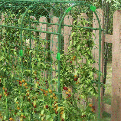 Outsunny Supporto per rampicanti 43cm x 182cm x 183cm Verde