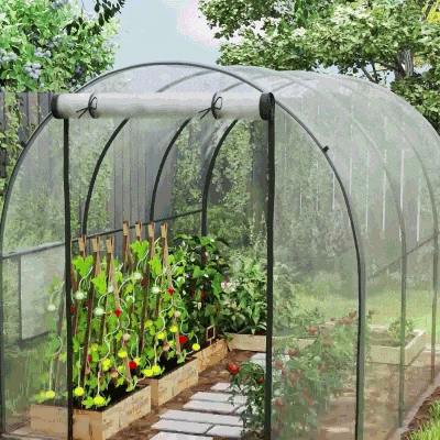 Outsunny Invernadero de Túnel 3x2x2 m con Puerta Enrollable 2 Ventanas de Malla y Estructura de Acero Transparente