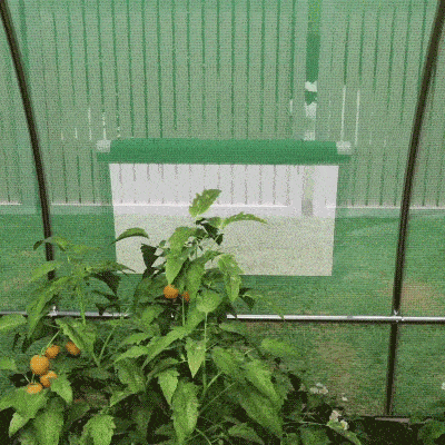 Outsunny Estufa Túnel 6x3x2 m com Porta com Dobradiças 12 Janelas com Rede e Estrutura de Aço Galvanizado Verde