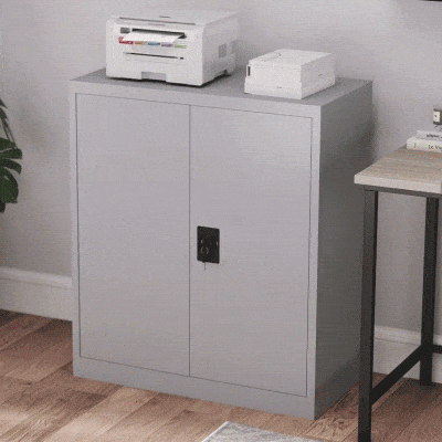 Vinsetto Aktenschrank Stahlschrank Mehrzweckschrank mit verstellbarem Regal und Schloss für Arbeitszimmer Wohnzimmer Grau