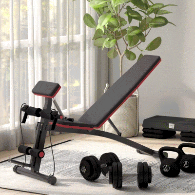 HOMCOM Banco de Musculación Plegable, Banco de Pesas, Respaldo Inclinable de 7 Niveles, Extensión de Pierna, Cojín de Predicador, Banda de Resistencia, para Entrenamiento Completo, Casa Gimnasio, Rojo
