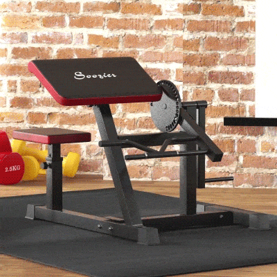 SPORTNOW Curlbank & Trizeps-Extension, 5 Sitzverstellungen, 25 Winkel, Stahl & Kunstleder, Schwarz