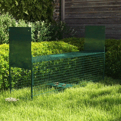 PawHut Armadilha com 2 portas para animais vivos Gaiola de captura de metal com alça 100x25x28 cm Verde escuro
