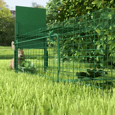 Outsunny Jaula atrapa animales nocivos 1 entrada 100x25x28 cm Verde Oscuro