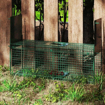 Outsunny Armadilha para Animais Vivos com Porta Gaiola de Captura com Alça de Transporte para Coelhos Raposas Pequenas 80x25x30cm Verde Escuro