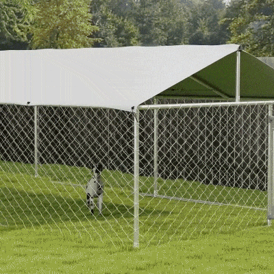 PawHut 19.7' Outdoor Dog Kennel, Large Dogs, Silver