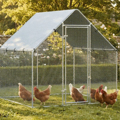 PawHut Pollaio per Galline da Esterno con Tetto 2x2x2 m Argento