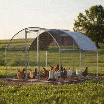 PawHut Pollaio per Galline con Tetto Impermeabile Anti UV Argento