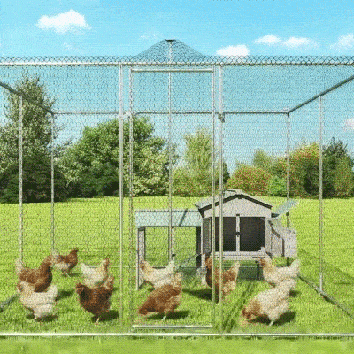 PawHut Hühnerstall und Tiergehege aus verzinktem Stahl, 4x3x2 m, Grau